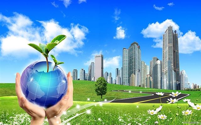 Khảo sát doanh nghiệp về Thiết kế sinh thái