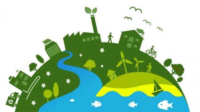 Tham vấn doanh nghiệp về kinh tế tuần hoàn