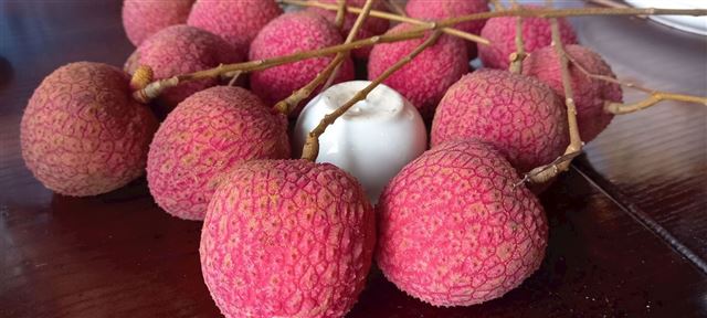 Ấn tượng về đặc sản vải trứng Hưng Yên