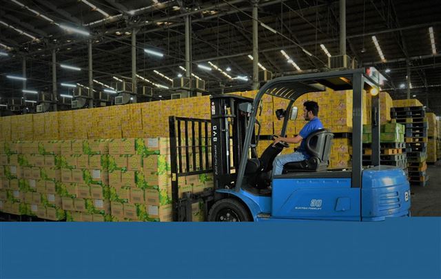Doanh nghiệp nội địa nỗ lực mang thương hiệu Việt ra toàn cầu