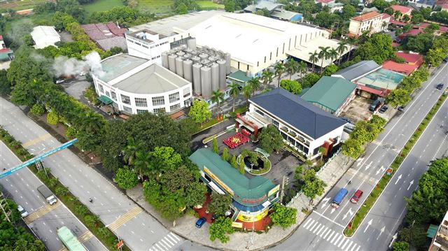 Công ty CP Bia Hà Nội – Hồng Hà: Tiếp tục tăng trưởng nhờ đổi mới, sáng tạo, xây dựng văn hóa doanh nghiệp