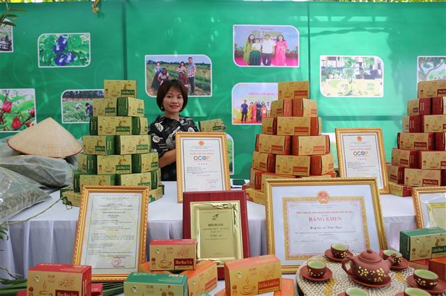 Người phụ nữ khuyết tật vươn lên nhờ trà thảo dược