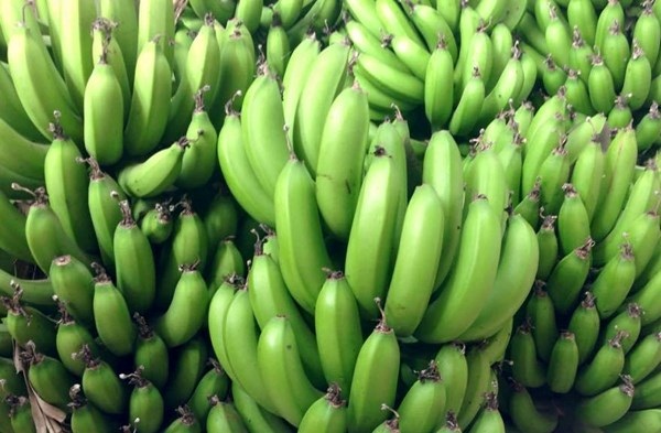 Dùng hóa chất Tàu ủ chuối, Quản lý thị trường không biết!
