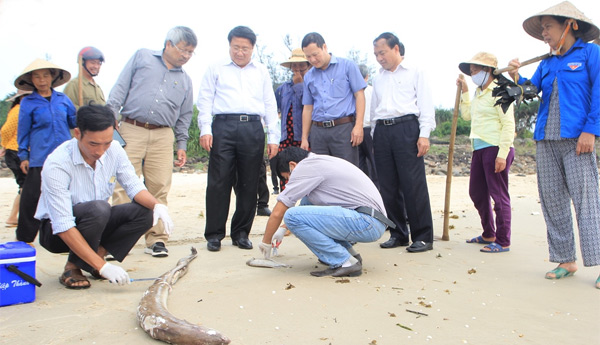 Bộ Tài nguyên và Môi trường kỷ luật cán bộ liên quan đến Formosa