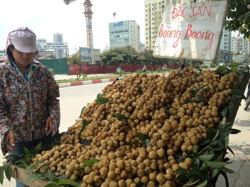 Bán hoa quả ở Hà Nội phải đăng ký kinh doanh