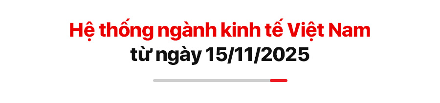 Chính sách mới hiệu lực tháng 11/2025