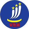 VBA logo
