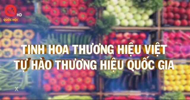 Tinh hoa thương hiệu Việt - Tự hào thương hiệu quốc gia