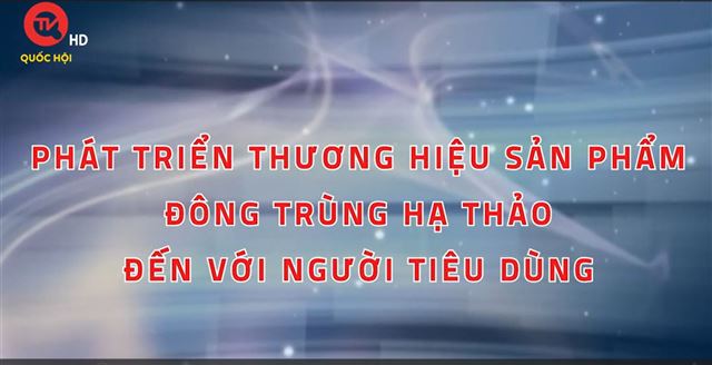 Số 6 Phát triển thương hiệu sản phẩm Đông trùng hạ thảo đến với người tiêu dùng