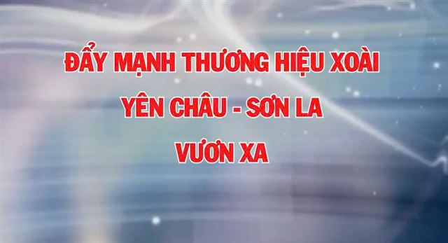 Số 10 Đẩy mạnh thương hiệu xoài Yên Châu - Sơn La vươn xa